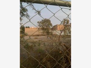 Terreno en renta en Gomez Palacio Centro, Gómez Palacio, Durango Terreno en renta en Gomez Palacio Centro, Gómez Palacio, Durango