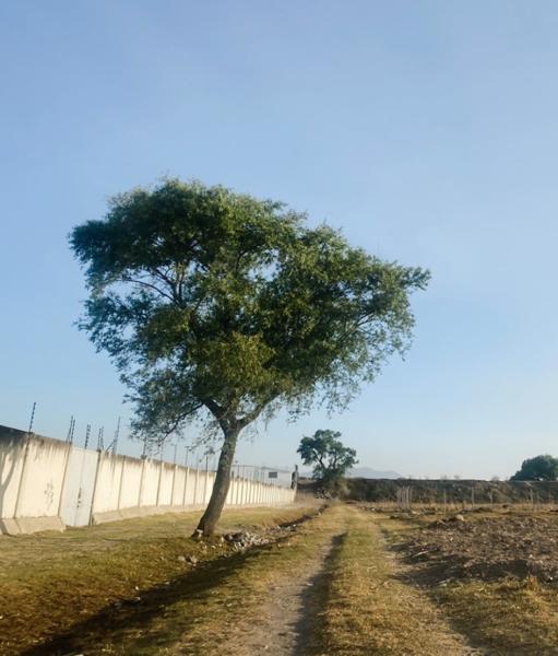 Terreno en venta en San Miguel Totocuitlapilco, Metepec, México Terreno en venta en San Miguel Totocuitlapilco, Metepec, México