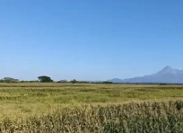 Terreno en Venta en Cuauhtemoc, Cuauhtémoc, Colima