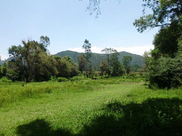 Terreno Residencial en Venta en Santa Magdalena Tiloxtoc, Valle de Bravo