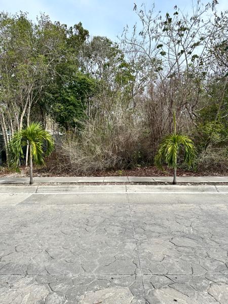 Terreno en venta en Puerto Aventuras, Solidaridad, Quintana Roo Terreno en venta en Puerto Aventuras, Solidaridad, Quintana Roo
