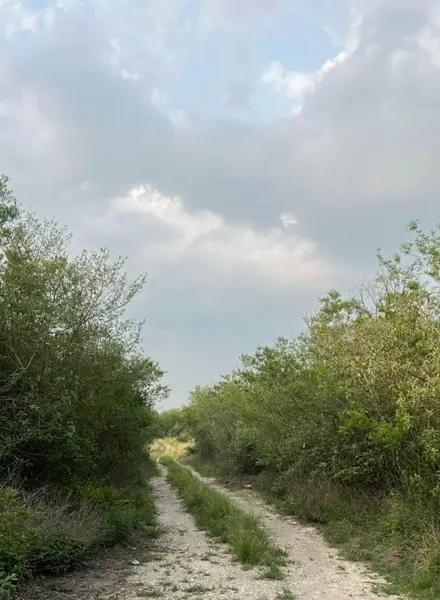 Terreno en Venta , Ejido las Adjuntas, Cadereyta Nuevo León Terreno en Venta , Ejido las Adjuntas, Cadereyta Nuevo León