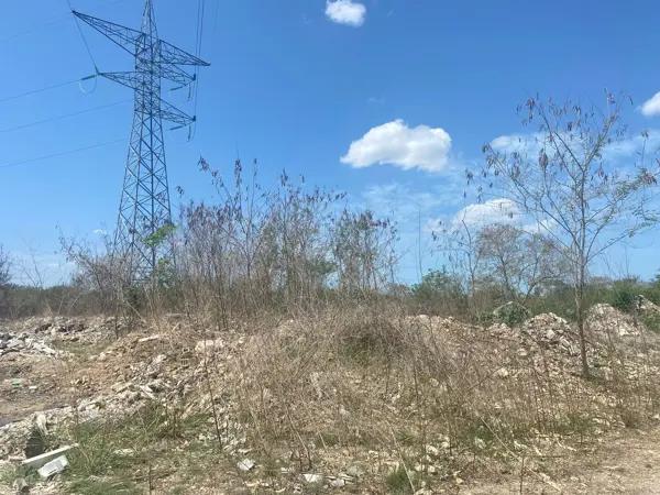 | Oportunidad de terreno, en venta. | | Oportunidad de terreno, en venta. |