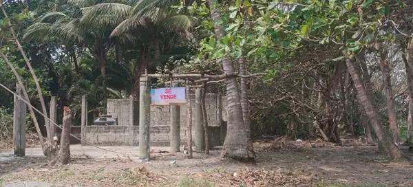 Terreno en venta en Mata de Uva, Alvarado, Veracruz de Ignacio de la Llave Terreno en venta en Mata de Uva, Alvarado, Veracruz de Ignacio de la Llave