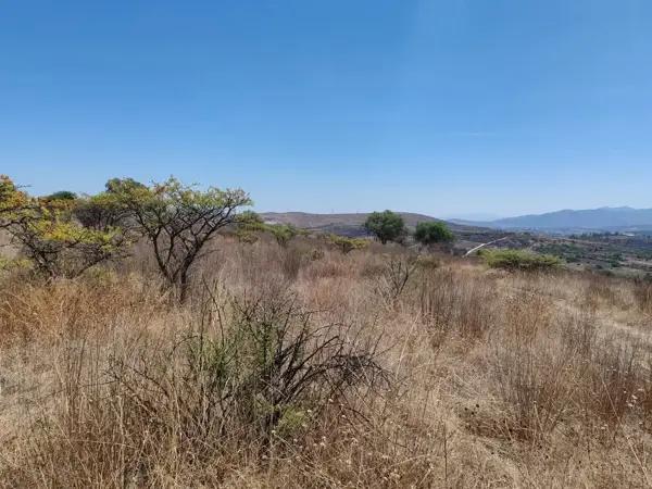 ??SE PONEN A LA VENTA 6 TERRENOS EN LA ALDEA??