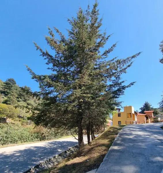 Terreno en venta en Escobar, Mineral del Monte, Hidalgo