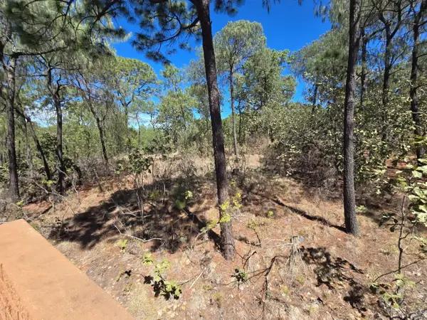 Terreno en venta en Chiquilistlan, Chiquilistlán, Jalisco Terreno en venta en Chiquilistlan, Chiquilistlán, Jalisco