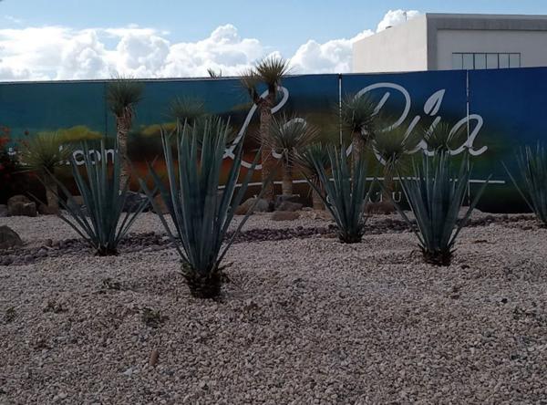 Terreno Residencial en Venta en La Rúa Residencial, Torreón, Coahuila