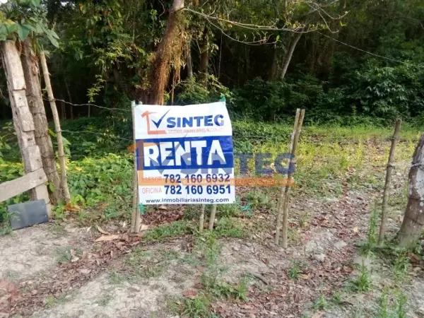RENTA DE UNA HECTAREA EN CARR. TIHUATLAN - CASTILLO DE TEAYO, VERACRUZ