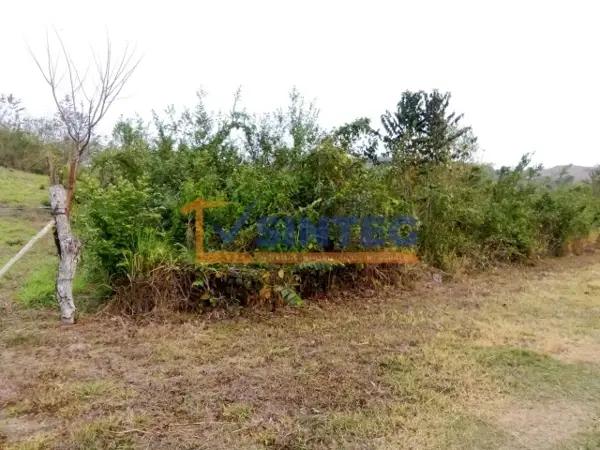 VENTA DE TERRENO SUPERFICIE 530 M2 COL AZTECA PARCELA 44, POZA RICA, VERACRUZ