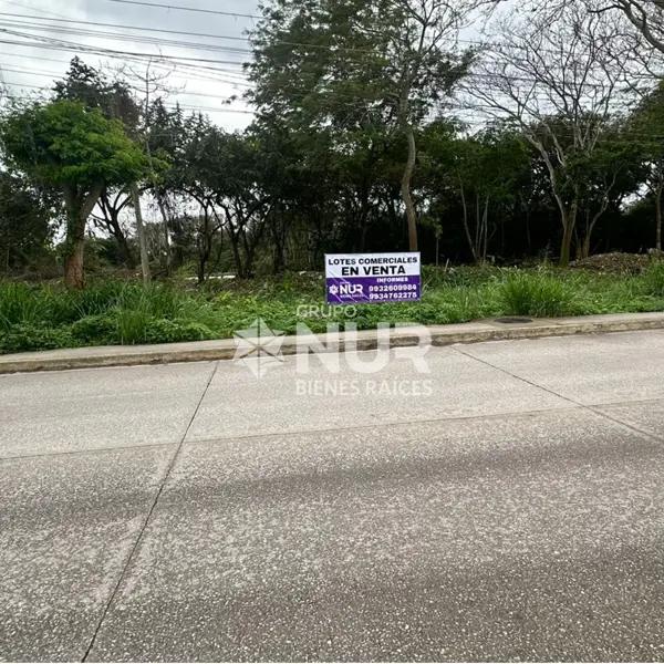 LOTES COMERCIALES EN VENTA FRACC. POMOCA