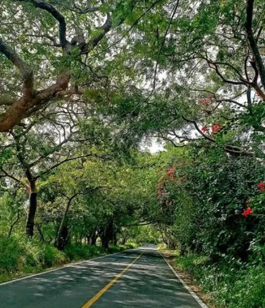 Terreno en venta en El Chivato (Providencia), Villa de Álvarez, Colima