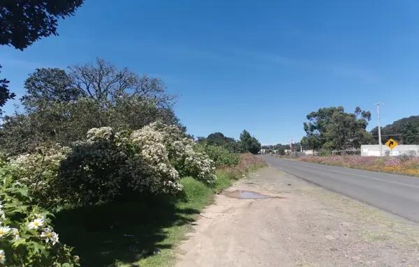 Terreno en Venta Sobre Carretera Amealco, con Vista Panoramica
