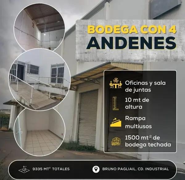 Bodega en renta en Bruno Pagliai, Veracruz, Veracruz de Ignacio de la Llave