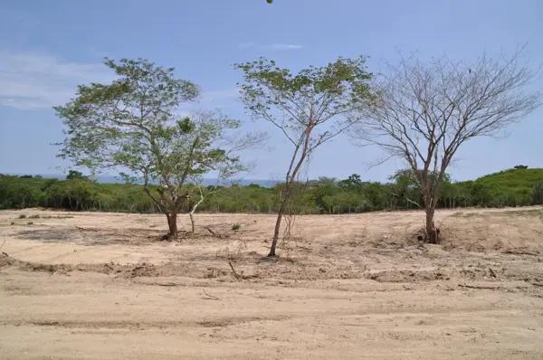 Terreno Tierra Blanca, Oaxaca