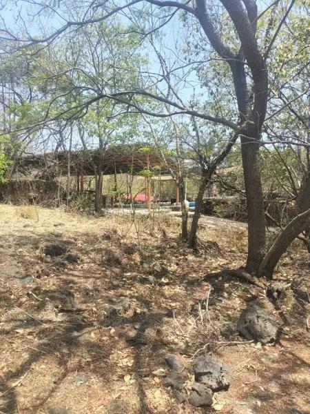 HERMOSO TERRENO EN  VENTA TEPOZTLAN   SANTIAGO TEPETLAPA