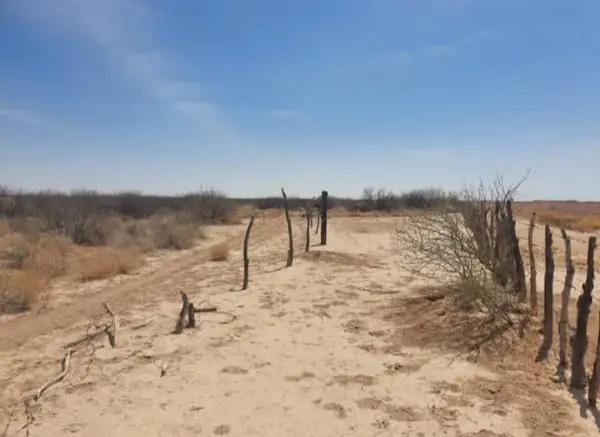 Se vende Terreno 28 Hectáreas en Mapimí Dgo  ideal plantas Agrícola Avícola Ganadera Paneles Solares