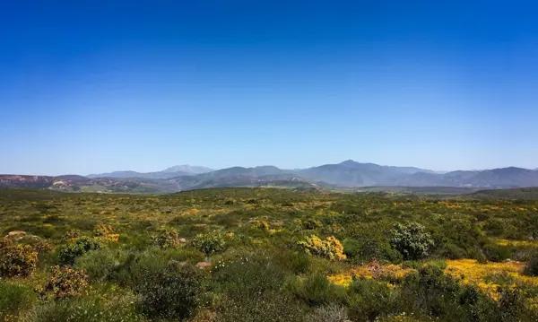Finca-Rancho en venta en La Parrita, Mapimí, Durango