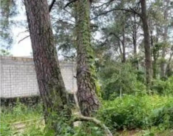 Terreno en venta en El Trapiche, Cuauhtémoc, Colima