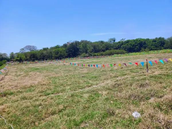 TERRENOS EN VENTA EN LAGARTERA 1° SECCIÓN TERRENOS EN VENTA EN LAGARTERA 1° SECCIÓN