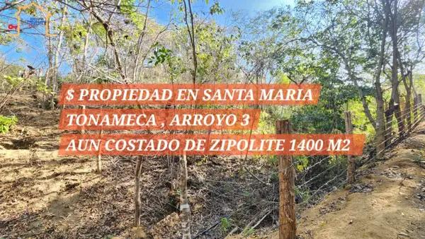 Terreno Comercial en Venta en Arroyo el Tres, Santa María Tonameca, Oaxaca