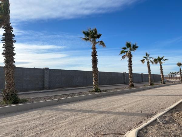 ¡Invierte en tu Futuro! Lotes Residenciales en Excelente ubicación, a la entrada de Viñedos