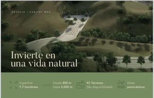 TERRENOS EN VENTA EN LAS CAÑADAS TERRENOS EN VENTA EN LAS CAÑADAS