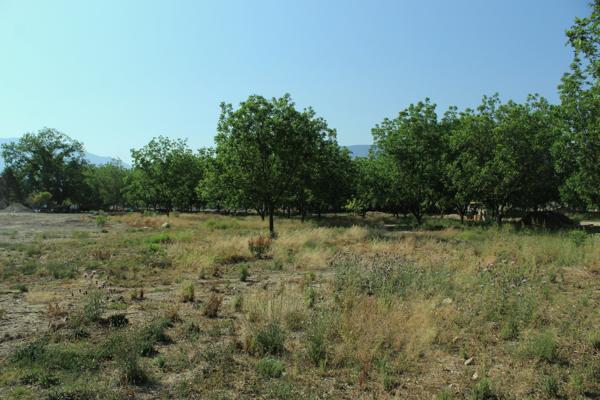 Terreno en Venta Fraccionamiento La Joya, Arteaga, Coahuila