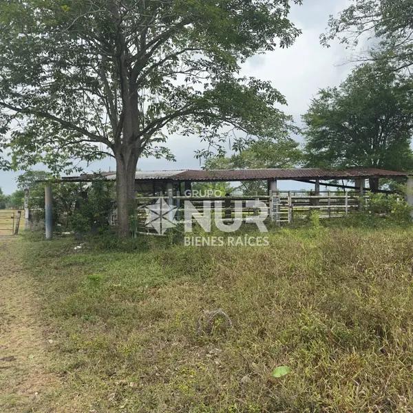 Rancho Ganadero en venta Rancheria Boqueron 5ta. y Rancheria Tepate Rancho Ganadero en venta Rancheria Boqueron 5ta. y Rancheria Tepate
