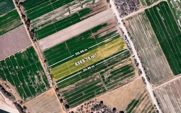 Terreno en venta en La Rosita, Torreón, Coahuila de Zaragoza