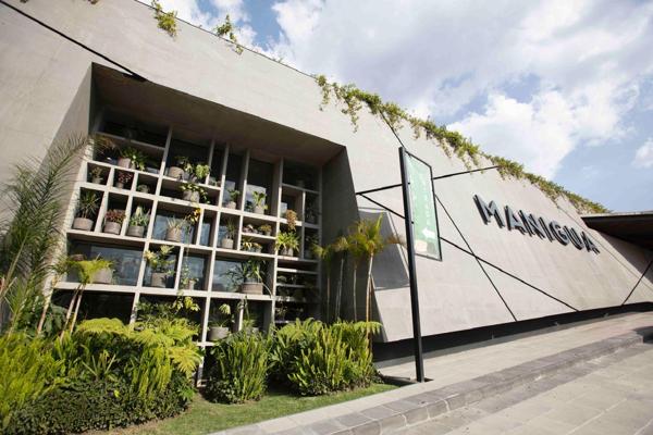 Venta de departamentos en Manigua Interlomas desde $11.100MDP Venta de departamentos en Manigua Interlomas desde $11.100MDP