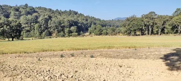 Terreno venta rancho Villa de Allende oportunidad