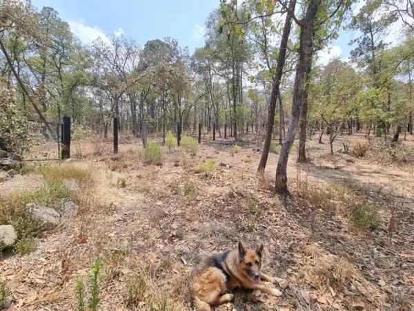 TERRENO EN VENTA EN BOSQUE REAL HUASCA DE OCAMPO