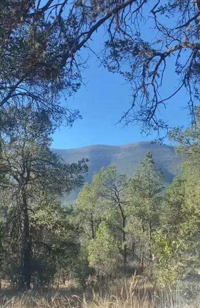 Terreno Habitacional en Venta en Bosques del Huachichil, Arteaga - 7300 m² BAJA SU PRECIO
