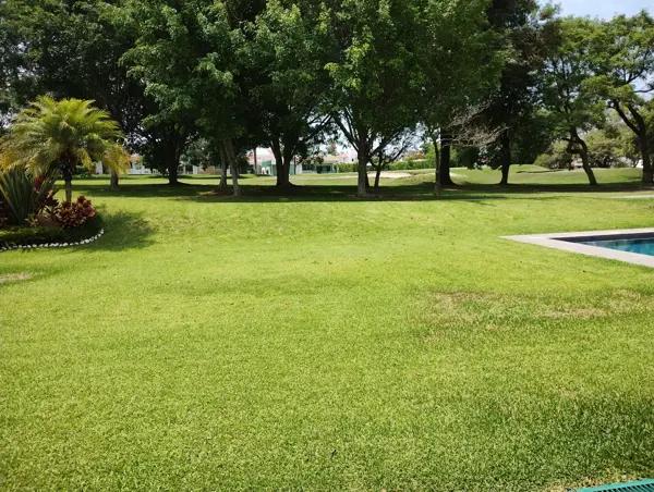 PRECIOSA, UNA PLANT, FAIRWAY
