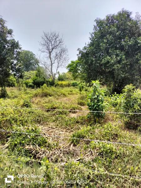 Venta de Predio Rústico en Saloya, Sector San Miguel
Inversión Ideal para Tu Proyecto!
