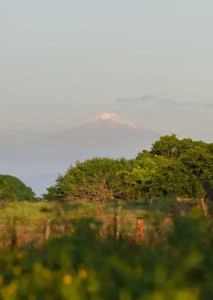 TERRENO EN VENTA EL BELLO PORVENIR
MEDELLIN DE BRAVO VERACRUZ.