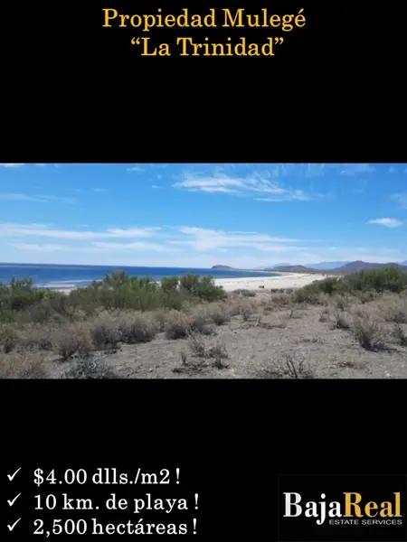 (4.00 dlls/m2) 10 km de playa en Mulegé, Baja California Sur.