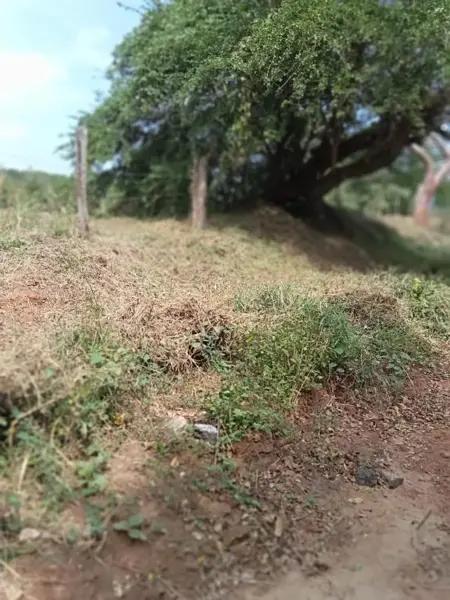 Terreno en venta en Delfino Victoria (santa Fe), Veracruz, Veracruz de Ignacio de la Llave