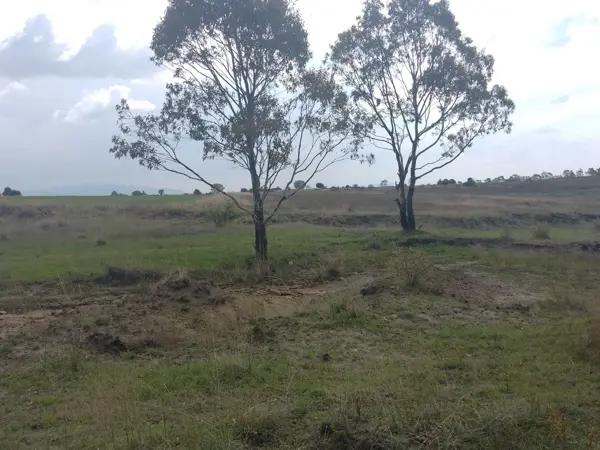 Terreno de 3700 metros Polotitlán $290,000