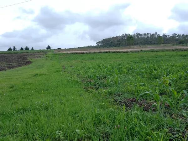 Terreno residencial en Aculco, 15000 m² disponibles por $750,000