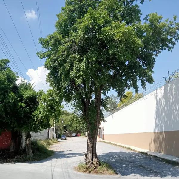 Terreno en Venta Col. Residencial La Lágrima – Calle privada