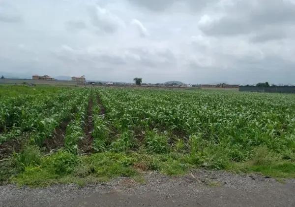 Terreno Terreno