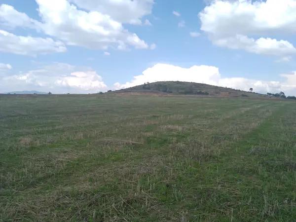 Terreno de 5000 metros Polotitlán 335 mil