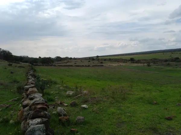 Terreno de 12 Hectáreas $7,250,000.00 semi plano En Polotitlán