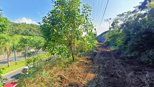 TERRENO COMERCIAL COATEPEC