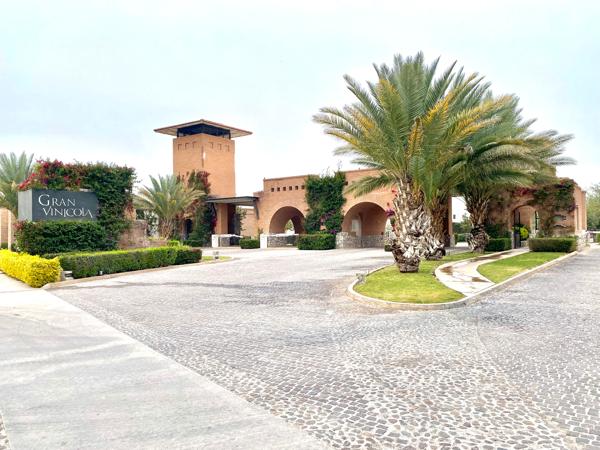 EXCELENTE TERRENO PARA VIVIR EN GRAN VINÍCOLA!!!