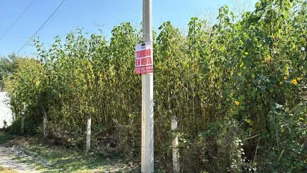 Terreno en venta en San José Vista Hermosa, Puente de Ixtla, Morelos