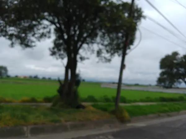 Terreno mide 40mil metros