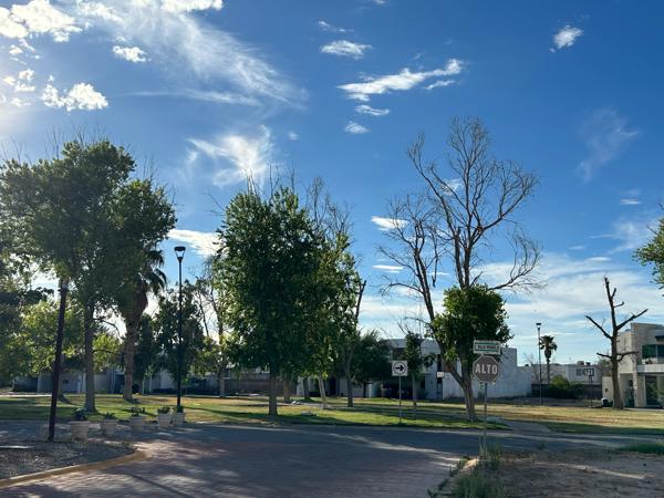 Terreno en Venta en Villas del Renacimiento, Torreón Terreno en Venta en Villas del Renacimiento, Torreón